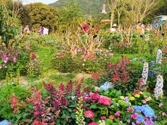 -深圳仙湖植物园