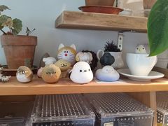 -吉丁鸟咖·异宠·寄养
