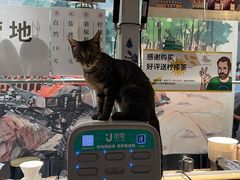 -DGE季风钓虾营地·团建·聚会