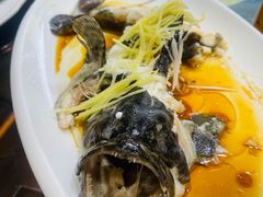 -中苑海韵