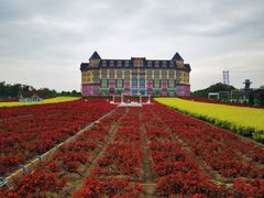 -百万葵园