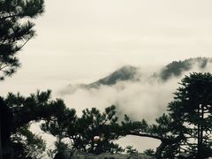 -东天目山风景区