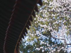 -颐和园