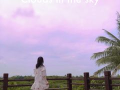 -东寨港红树林旅游区