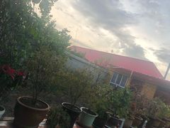 -马白开来特色羊排揪片子  (总店)