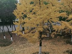 -苏州工学院(东湖校区)