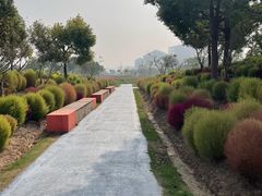 -春花秋色城市公园