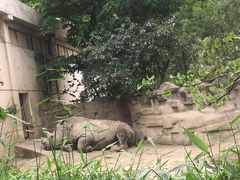 -成都动物园