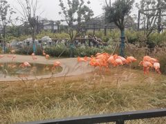 -武汉动物园