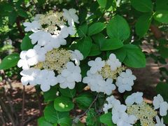 -白塘生态植物园