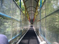 -七仙岭温泉国家森林公园