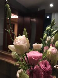 -清悦SPA美容