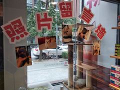 -帕帕拉兹宠物(亚洲旗舰店)