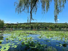 -承德避暑山庄景区