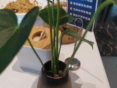-眉州东坡(北苑华贸店)