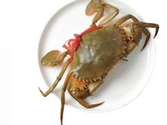 膏蟹-盒马鲜生(金桥国际广场店)