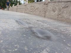 -赵州桥景区