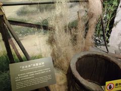 -上海纺织博物馆