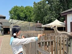 -太阳岛度假酒店