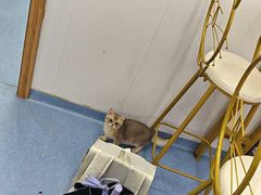 -博特宠物医院24h犬猫全科.骨科·异宠