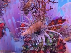 -秦皇岛新澳海底世界