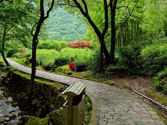 -北仑森林植物园