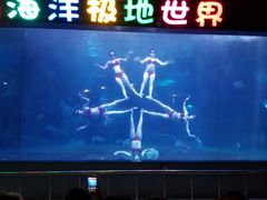 -蓬莱欧乐堡海洋极地世界