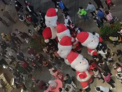 -润园四季椰子鸡火锅(南山海岸城店)