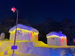 -长春市南湖公园