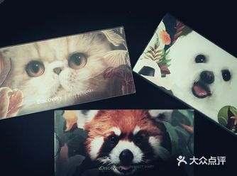 我是富人了，拥有了小狗、小猫盘… 很难抢到…