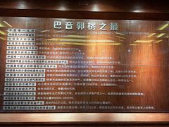 -巴音郭楞蒙古自治州博物馆