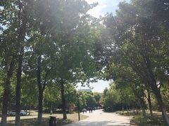 -镇江市南山风景名胜区竹林景区