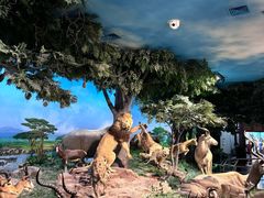 -国家自然博物馆