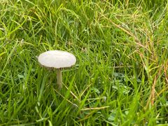 -南宁良凤江国家森林公园