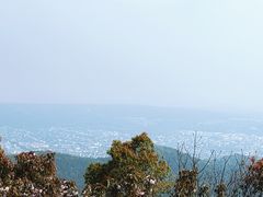 -雨花胜境