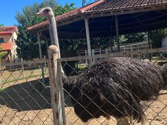 -意大利农场度假村