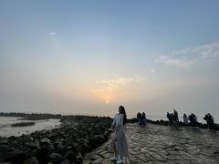 -南汇嘴观海公园