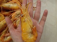 -光头佬室内钓虾场·烧烤·团建·亲子(中山八路店)