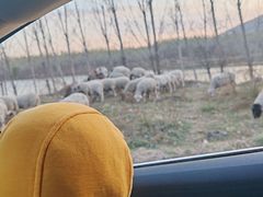 -黄金寨原生态旅游区
