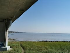 -芦潮港集贸市场