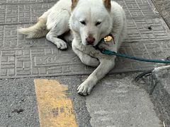 -嘻哈壹笑堂相声茶馆(大儒巷店)