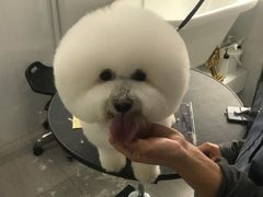 -宠物家(角门东店)