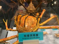 -天津自然博物馆