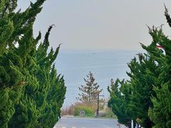 -养马岛旅游度假区