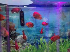-雅悦齿科(顾村公园店)