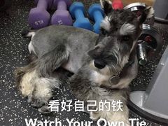 -炼健身私教工作室