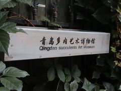 -八大关景区