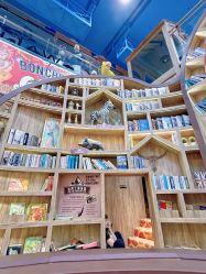 -卡通尼·Safari非洲探索乐园·生日会(金桥国际商业广场店)