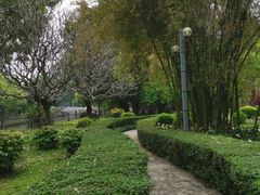 -晓港公园