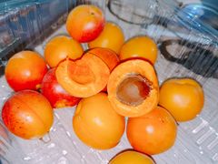 新疆吊干杏-果蔬好(江南赋店)